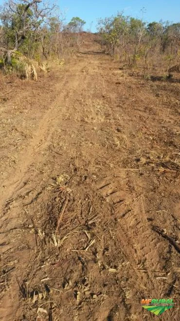 Fazenda Progresso-  Pedro Afonso TO, 88,6 hectares