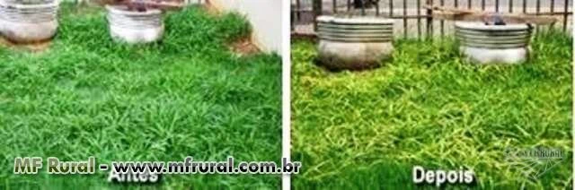 Herbicida Green Garden  (Entregamos em todo o Brasil)