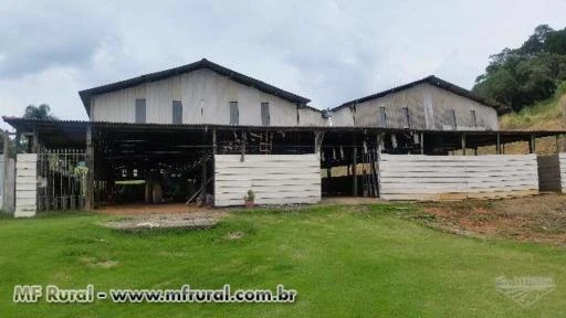 Sitio em Piedade 60,5 Ha Casa sede nova, galpão 1.300 m2 rico em água - VENDA OU LOCAÇÃO