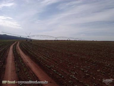 Pivô Aspervale - Central - Rebocavel e linear Imagem Pivô Aspervale - Central - Rebocavel e linear
