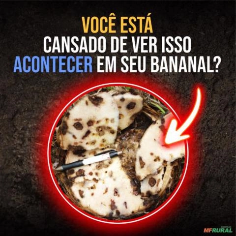 Imagem Complexo Biológico LEWIS PLUS Imagem Complexo Biológico LEWIS PLUS