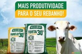 FARELO DE ALGODÃO 30%