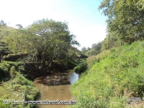 Fazenda - Rio Das Flores