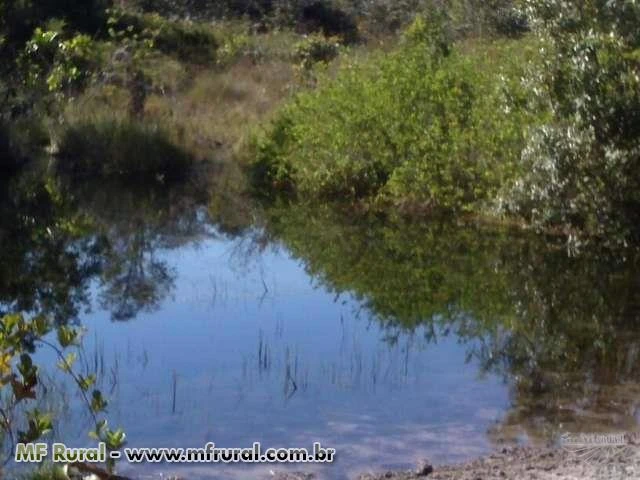 fazenda jatai-serranopolis 48,5 terra excelente de agua otimo preço