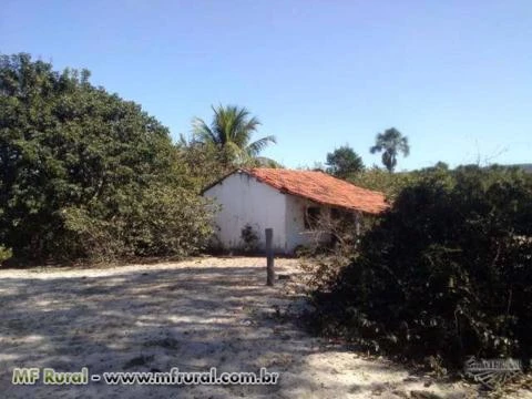 fazenda jatai-serranopolis 48,5 terra excelente de agua otimo preço