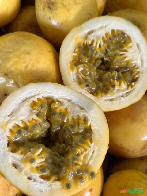 Imagem Polpa de Maracujá Imagem Polpa de Maracujá