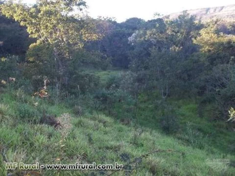 Sítio de 14 hectares a 30 km de Montes Claros/MG