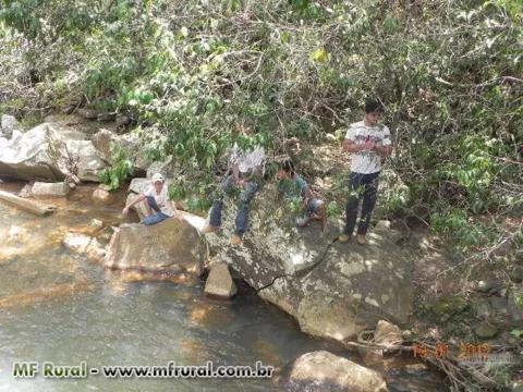 FAZENDA EM MG