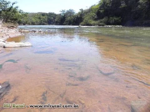 FAZENDA EM MG