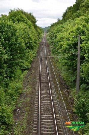 Compramos Trilhos para  Rolamento , Estacas e Fundações e acessórios em geral Imagem Compramos Trilhos para  Rolamento , Estacas e Fundações e acessórios em geral