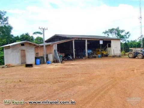 Fazenda em Alta Floresta com área de 6.880 há