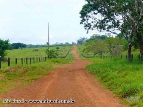 Fazenda em Alta Floresta com área de 6.880 há