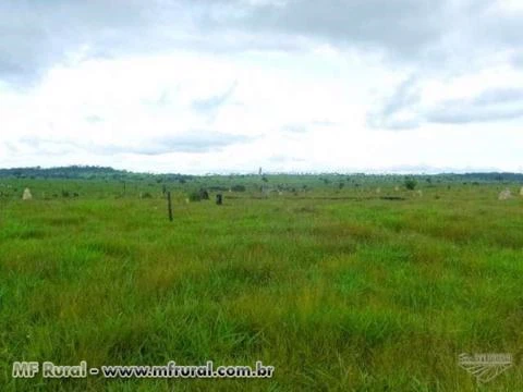 Fazenda em Alta Floresta com área de 6.880 há