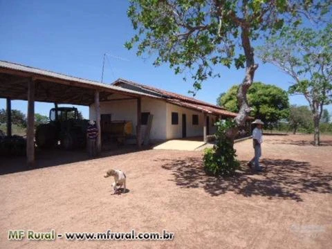 Fazenda em Redenção - Pará - 3500 hás