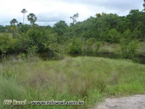 Fazenda em cana em Mineiro-GO - 4066 has