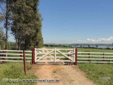 Fazenda de 1831has Região Lençois-Paulista - SP