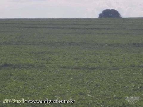 Fazenda no Município de Paranatinga -MT com  26000ha