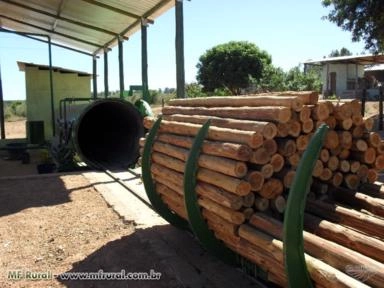 Mourão de Eucalipto Tratado Imagem Mourão de Eucalipto Tratado