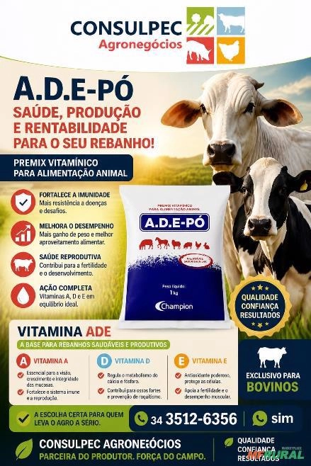 A.D.E PÔ CHAMPION Imagem A.D.E PÔ CHAMPION