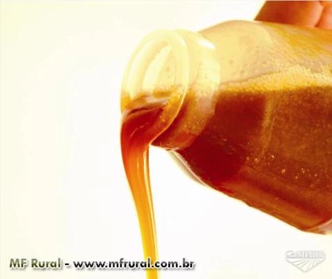 Óleo de Vísceras Imagem Óleo de Vísceras