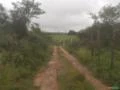 VENDO TERRAS / FAZENDA EM FEIRA DE SANTANA-BA à 15 minutos do Centro Comercial e à 60 min da Capital