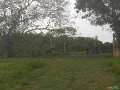 VENDO TERRAS / FAZENDA EM FEIRA DE SANTANA-BA à 15 minutos do Centro Comercial e à 60 min da Capital