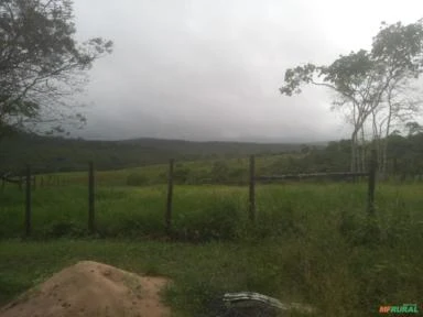 VENDO TERRAS / FAZENDA EM FEIRA DE SANTANA-BA à 15 minutos do Centro Comercial e à 60 min da Capital