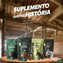 Suplemento Animal  Equino - Aggro horse