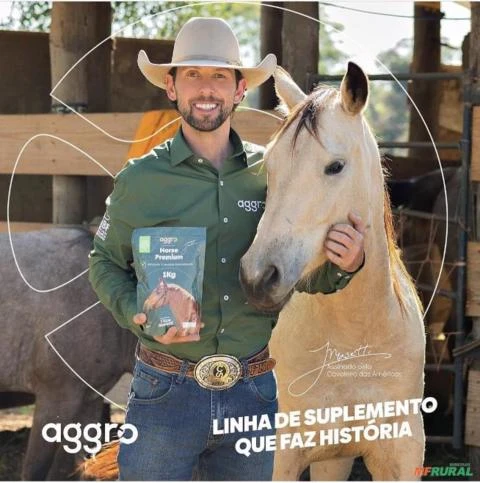 Suplemento Animal  Equino - Aggro horse