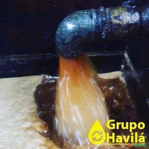 Coleta de óleo, compramos óleo de Frituras. Imagem Coleta de óleo, compramos óleo de Frituras.