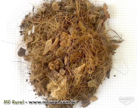 Fibra de Coco Imagem Fibra de Coco