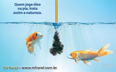 Imagem Compro Oleo de Cozinha (VEGETAL) Usado - Reciclado Imagem Compro Oleo de Cozinha (VEGETAL) Usado - Reciclado