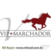 Vip Marchador