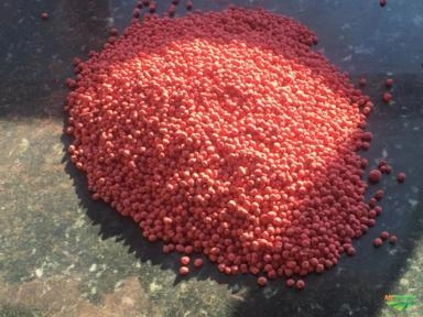 Imagem Granulado de Adubo Orgânico Imagem Granulado de Adubo Orgânico