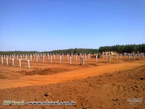 Aviários - Pré-moldados ou Estruturas Metálicas