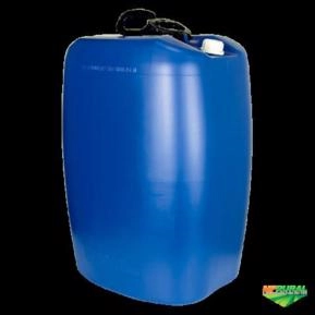 Óleo de Eucalipto Óleo de Eucalipto