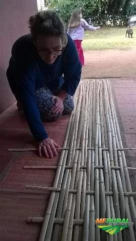 Tiras de Bambu Tratado