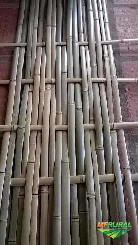 Tiras de Bambu Tratado