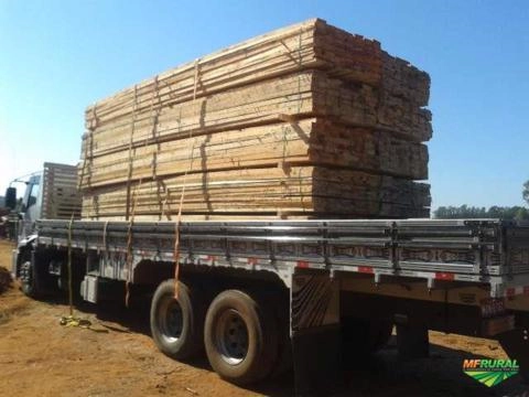 Serraria Madeira de Eucalipto serrada tábuas, guias, caibros, mourões, costaneira Imagem Serraria Madeira de Eucalipto serrada tábuas, guias, caibros, mourões, costaneira