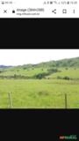 Pasto para arrendar em Ortigueira PR Imagem Pasto para arrendar em Ortigueira PR