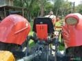 Trator Massey Ferguson 65 X 4x2 ano 72 Imagem Trator Massey Ferguson 65 X 4x2 ano 72
