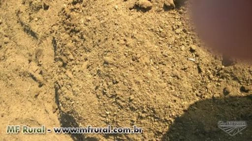 Esterco de Vaca Imagem Esterco de Vaca