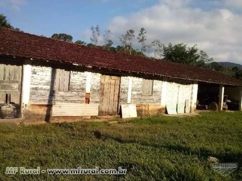 Fazenda em Miracatu SP, 100 Alq.2 ótima casas, excelente investimento!!!