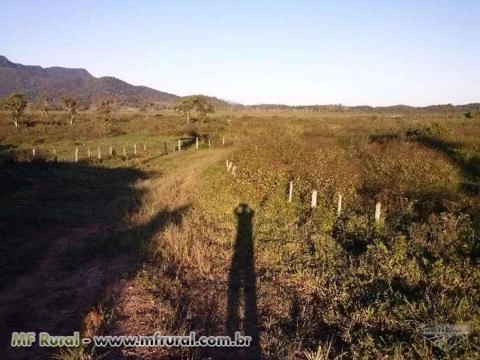 FAZENDA JUQUIÁ/MIRACATU SP, VALE DO RIBEIRA, 180 ALQ.100ALQ. PASTO,PLAINO