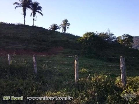 FAZENDA JUQUIÁ/MIRACATU SP, VALE DO RIBEIRA, 180 ALQ.100ALQ. PASTO,PLAINO