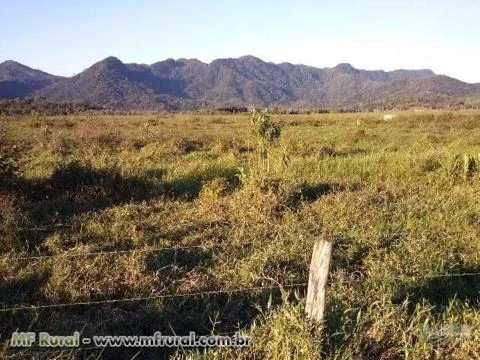 FAZENDA JUQUIÁ/MIRACATU SP, VALE DO RIBEIRA, 180 ALQ.100ALQ. PASTO,PLAINO