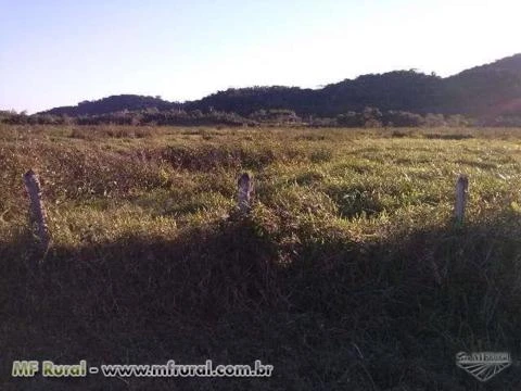 FAZENDA JUQUIÁ/MIRACATU SP, VALE DO RIBEIRA, 180 ALQ.100ALQ. PASTO,PLAINO