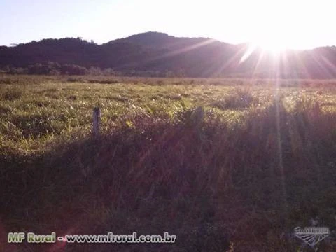 FAZENDA JUQUIÁ/MIRACATU SP, VALE DO RIBEIRA, 180 ALQ.100ALQ. PASTO,PLAINO