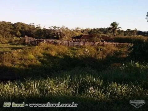 FAZENDA JUQUIÁ/MIRACATU SP, VALE DO RIBEIRA, 180 ALQ.100ALQ. PASTO,PLAINO