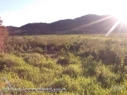 FAZENDA JUQUIÁ/MIRACATU SP, VALE DO RIBEIRA, 180 ALQ.100ALQ. PASTO,PLAINO